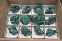 Natural Silky Malachite Specimens x 12 From Kasompe, Congo