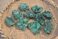 Natural Silky Malachite Specimens x 12 From Kasompe, Congo