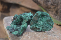 Natural Silky Malachite Specimens x 12 From Kasompe, Congo