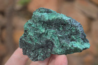 Natural Silky Malachite Specimens x 12 From Kasompe, Congo