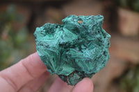 Natural Silky Malachite Specimens x 12 From Kasompe, Congo