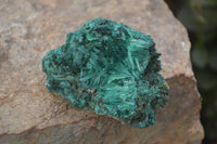 Natural Silky Malachite Specimens x 12 From Kasompe, Congo