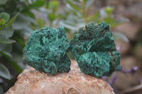 Natural Silky Malachite Specimens x 12 From Kasompe, Congo