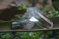 Polished Smokey Window Quartz Crystals x 6 From Madagascar