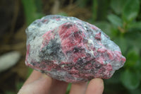 Natural Rhodonite Cobbed Specimens x 6 From Zimbabwe