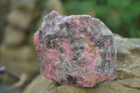 Natural Rhodonite Cobbed Specimens x 6 From Zimbabwe