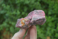 Natural Rhodonite Cobbed Specimens x 6 From Zimbabwe