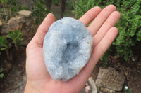 Polished Celestite Egg Geodes x 6 From Madagascar