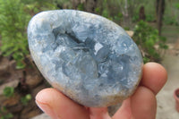 Polished Celestite Egg Geodes x 6 From Madagascar