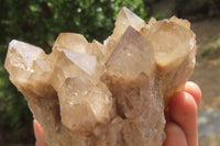 Natural Cascading Smokey Quartz Clusters x 2 From Luena, Congo