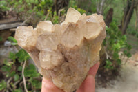 Natural Cascading Smokey Quartz Clusters x 2 From Luena, Congo