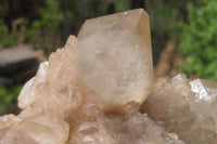 Natural Cascading Smokey Quartz Clusters x 2 From Luena, Congo