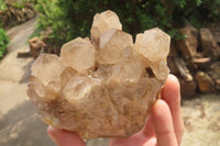 Natural Cascading Smokey Quartz Clusters x 2 From Luena, Congo