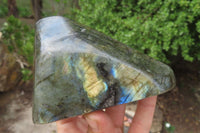 Polished Labradorite Standing Free Forms x 2 From Tulear, Madagascar