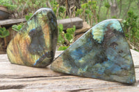 Polished Labradorite Standing Free Forms x 2 From Tulear, Madagascar