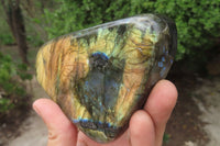 Polished Labradorite Standing Free Forms x 2 From Tulear, Madagascar