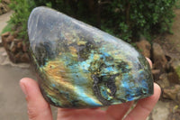 Polished Labradorite Standing Free Forms x 2 From Tulear, Madagascar