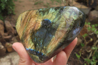 Polished Labradorite Standing Free Forms x 2 From Tulear, Madagascar