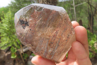 Polished Smokey Window Quartz Crystals x 2 From Madagascar