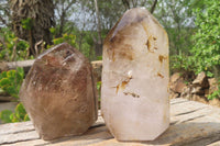 Polished Smokey Window Quartz Crystals x 2 From Madagascar