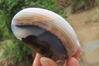 Polished Dendritic Agate Standing Free Forms x 6 From Madagascar