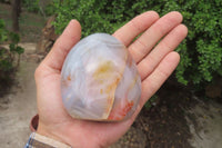 Polished Dendritic Agate Standing Free Forms x 6 From Madagascar