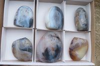 Polished Dendritic Agate Standing Free Forms x 6 From Madagascar