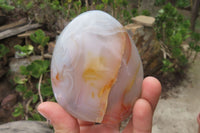 Polished Dendritic Agate Standing Free Forms x 6 From Madagascar