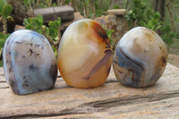 Polished Dendritic Agate Standing Free Forms x 6 From Madagascar