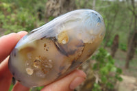 Polished Dendritic Agate Standing Free Forms x 6 From Madagascar