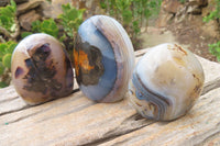 Polished Dendritic Agate Standing Free Forms x 6 From Madagascar