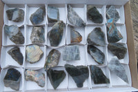 Polished On One Side Labradorite Specimens x 24 From Madagascar