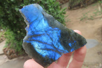 Polished On One Side Labradorite Specimens x 24 From Madagascar