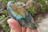 Polished On One Side Labradorite Specimens x 24 From Madagascar