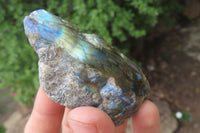 Polished On One Side Labradorite Specimens x 24 From Madagascar