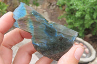 Polished On One Side Labradorite Specimens x 24 From Madagascar