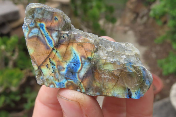 Polished On One Side Labradorite Specimens x 24 From Madagascar