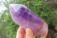 Polished Amethyst Window Quartz Crystals x 2 From Madagascar