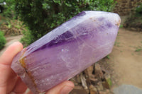 Polished Amethyst Window Quartz Crystals x 2 From Madagascar