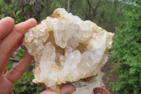 Natural Clear Limonite Quartz Clusters x 6 From Zambia