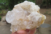 Natural Clear Limonite Quartz Clusters x 6 From Zambia