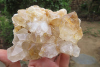 Natural Clear Limonite Quartz Clusters x 6 From Zambia