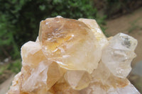 Natural Clear Limonite Quartz Clusters x 6 From Zambia