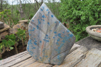 Polished Blue Spinel Spotted Quartz Leaf Sculptures x 2 From Madagascar