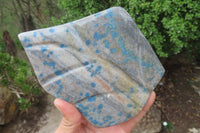 Polished Blue Spinel Spotted Quartz Leaf Sculptures x 2 From Madagascar