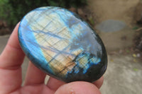 Polished Labradorite Palm Stones x 12 From Tulear, Madagascar