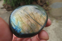 Polished Labradorite Palm Stones x 12 From Tulear, Madagascar