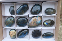 Polished Labradorite Palm Stones x 12 From Tulear, Madagascar