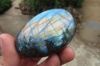 Polished Labradorite Palm Stones x 12 From Tulear, Madagascar