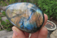 Polished Labradorite Palm Stones x 12 From Tulear, Madagascar